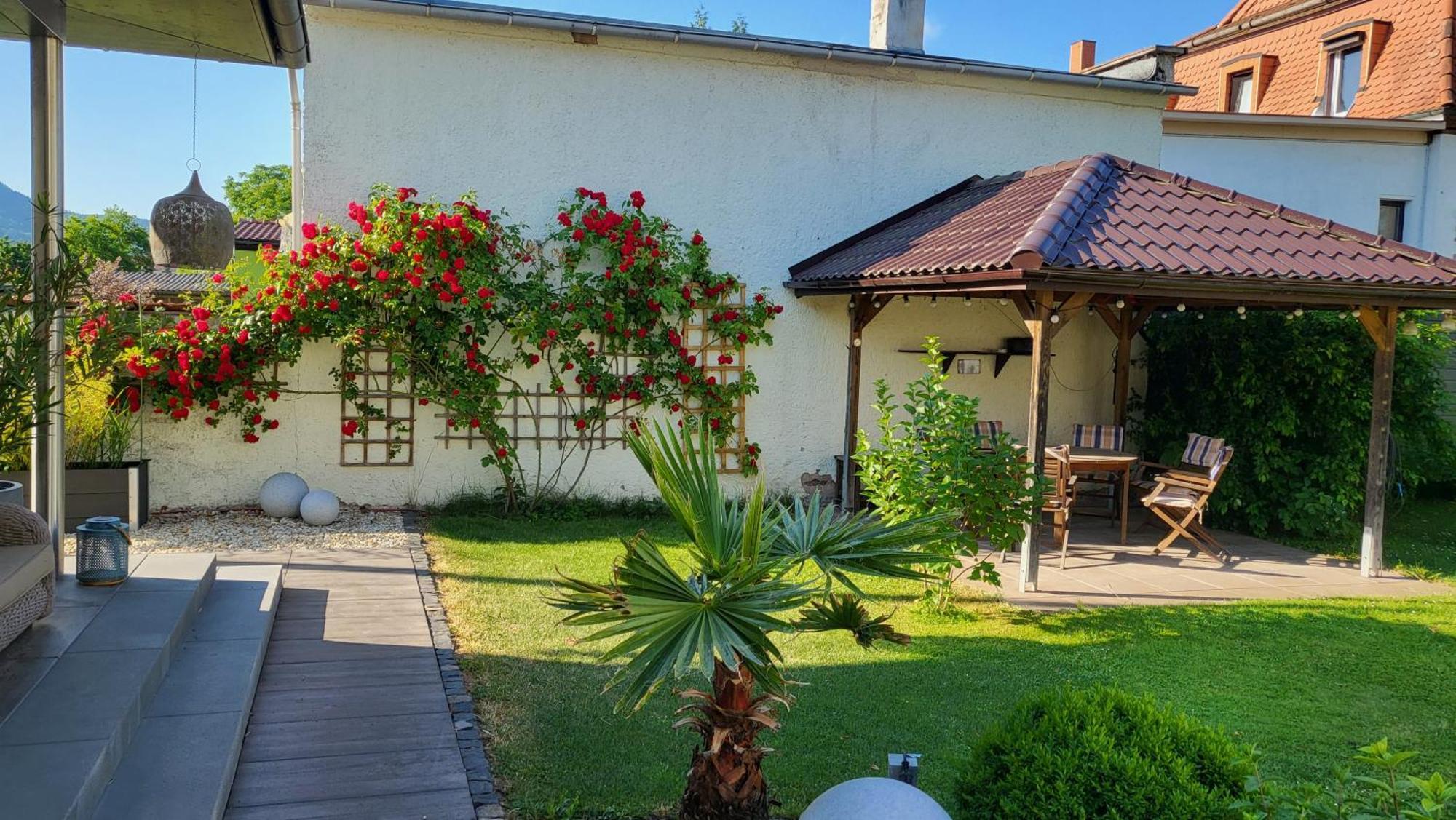 Apartments Am Saalebogen Mit Gartenterrasse, Grillkamin, Freie Parkplaetze Rudolstadt Extérieur photo
