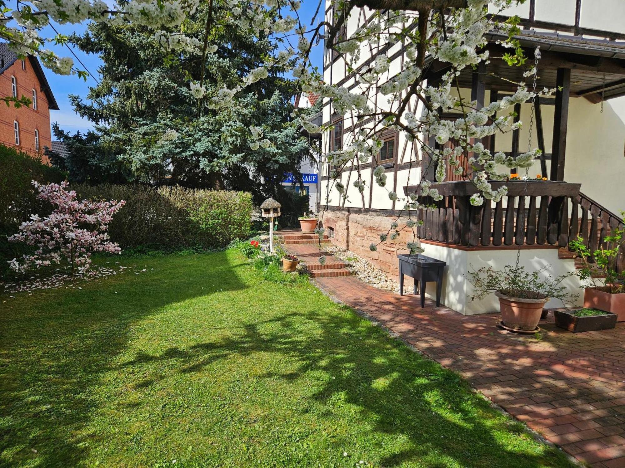 Apartments Am Saalebogen Mit Gartenterrasse, Grillkamin, Freie Parkplaetze Rudolstadt Extérieur photo
